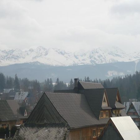Agroturystyka Pod Lasem 波罗宁 外观 照片