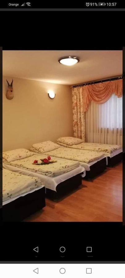 Agroturystyka Pod Lasem 波罗宁 外观 照片